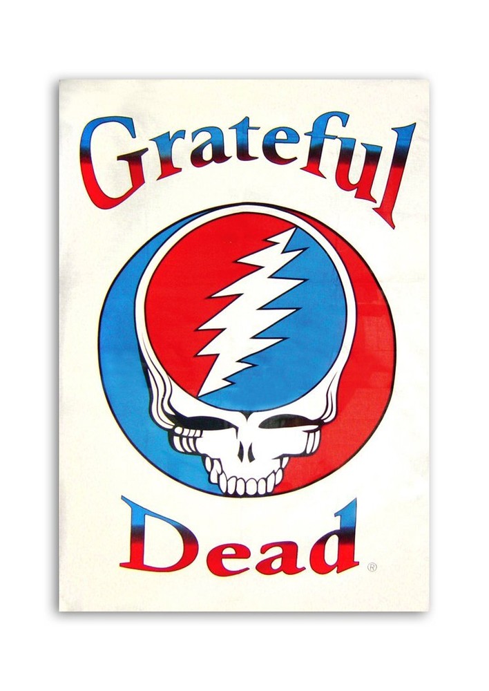 Grateful Dead Steal Your Face Logo White 60