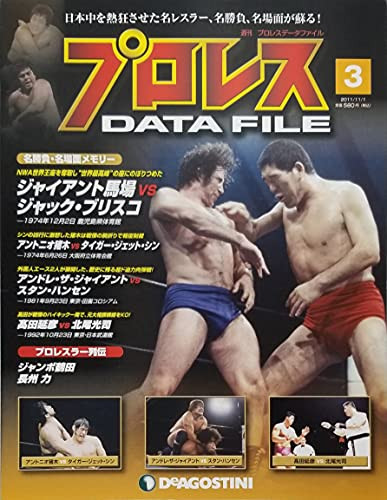 Weekly Pro Wrestling Data File No.3 November 1, 2011 Issue book form JP