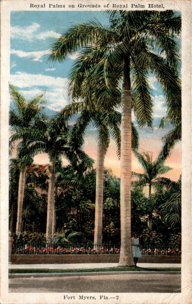 Royal Palm Hotel, Fort Myers, Florida, E. C. KROPP CO., MILWA Postcard