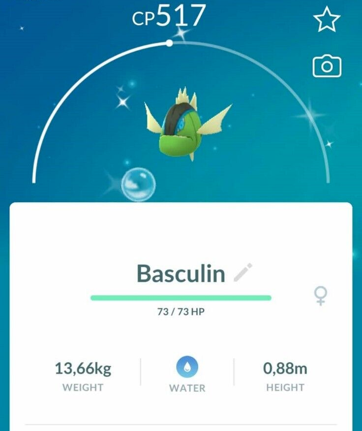 Shiny Blue-Striped Basculin - PvP-Ready - Full Details in Desc  