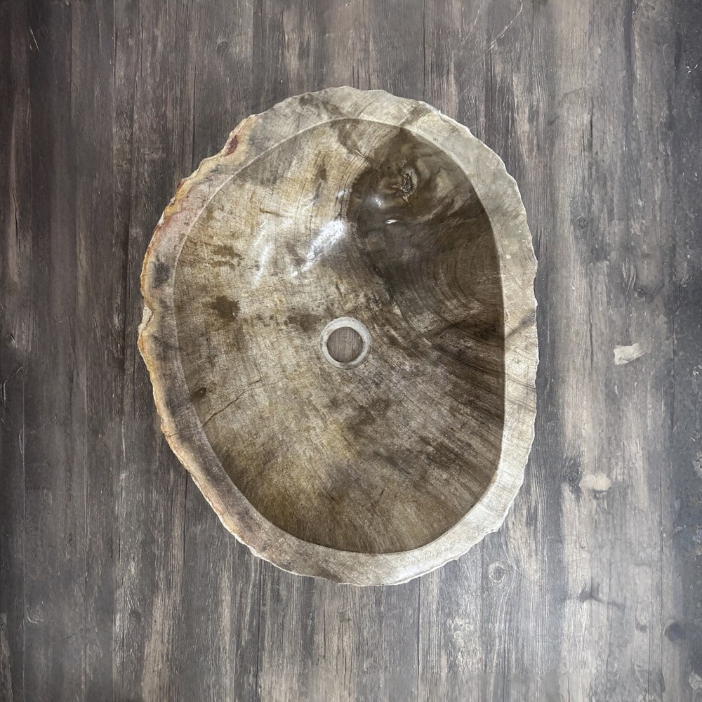 Bathroom Counter Top Petrified Wood Vanity Vessel Basin Sink PWS 21