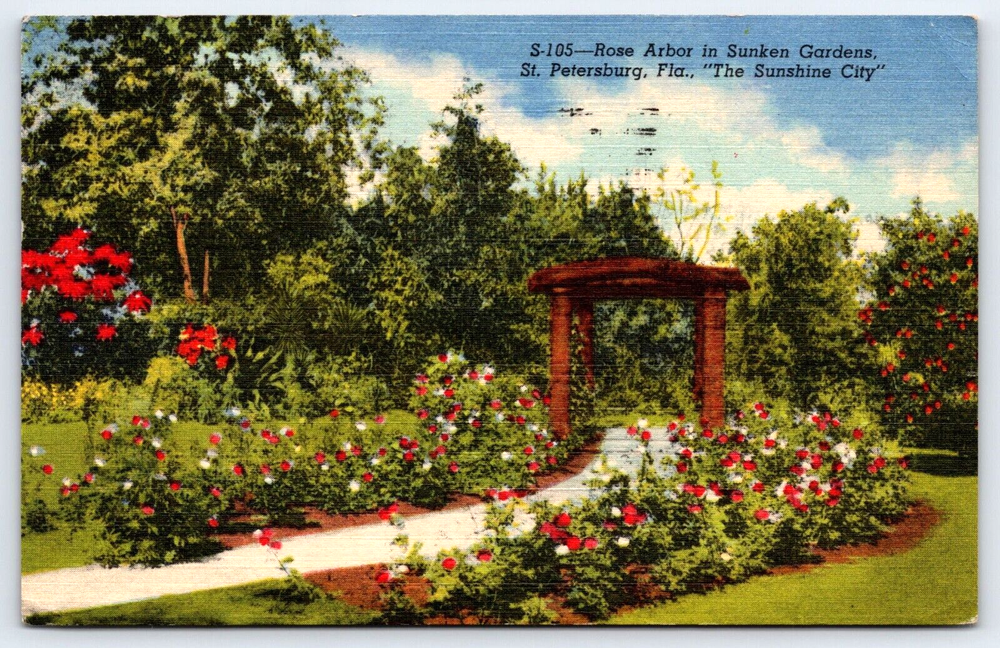 VINTAGE OLD ANTIQUE POSTCARD ROSE ARBOR SUNKEN GARDENS ST. PETERSBURG FLORIDA