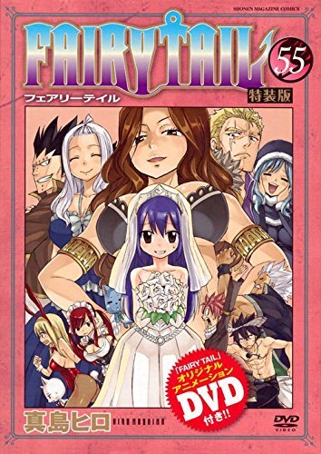 FAIRY TAIL Vol.55 Limited Edition Manga Comic w/Anime DVD Japan Mashi... form JP