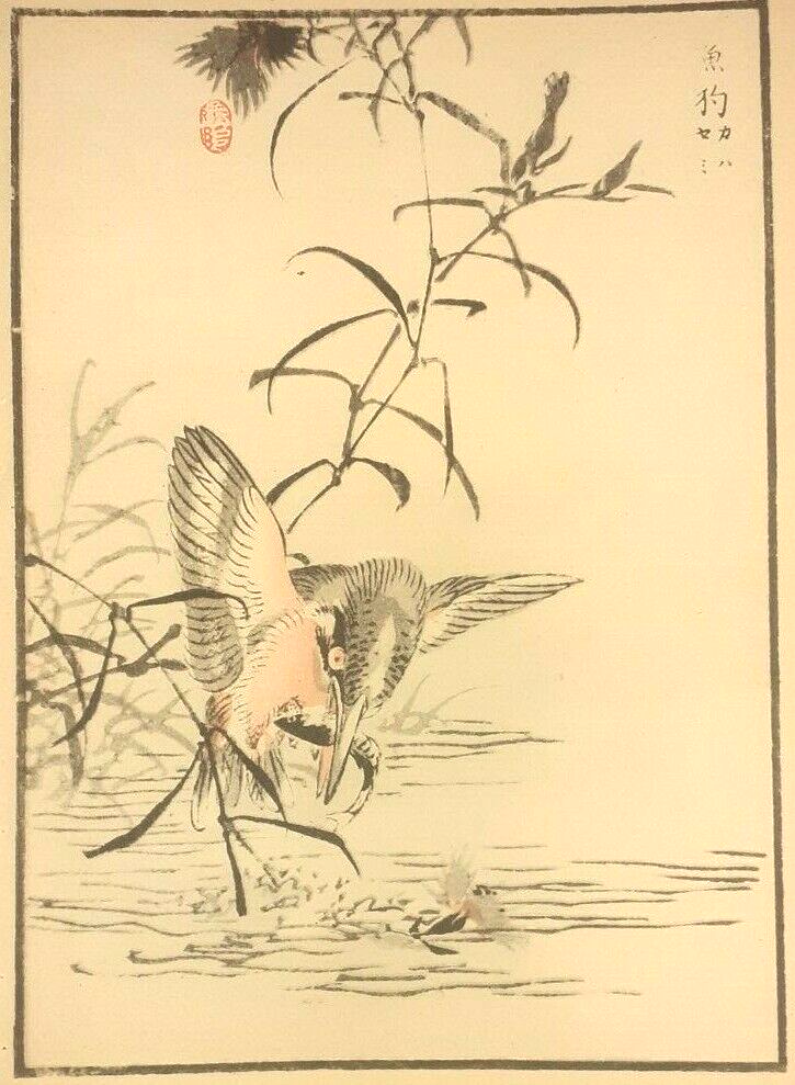 BAIREI KINGFISHER FISH PRINT Of a 1880s JAPANESE WOODBLOCK Woodcut Bird Print