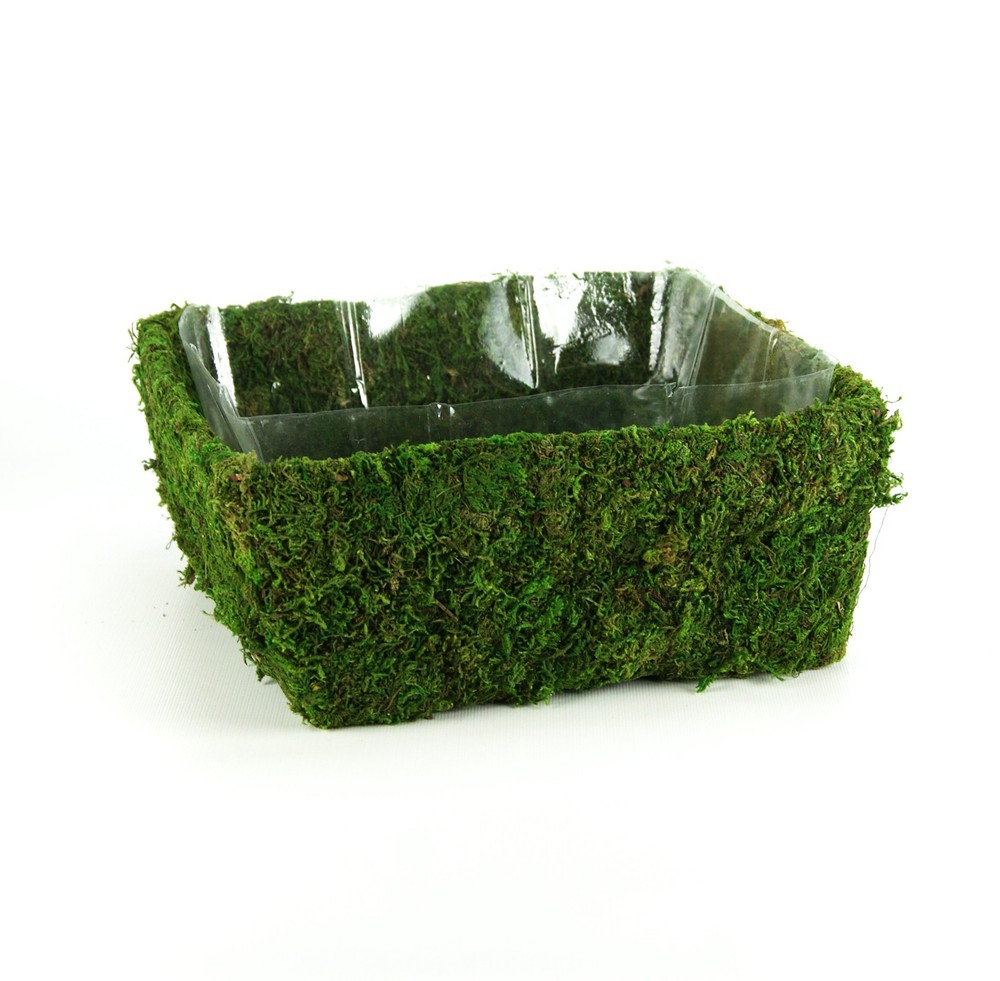 (55170 Santee, Fresh Green, Fits 2 Blocks for Floral Foam
