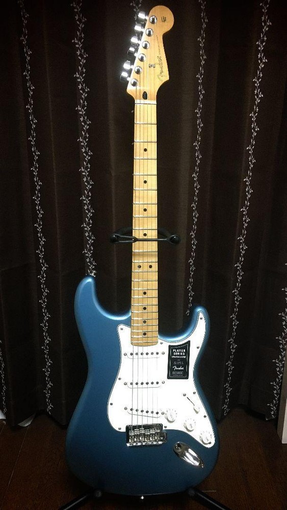 Fender / Player Series Stratocaster