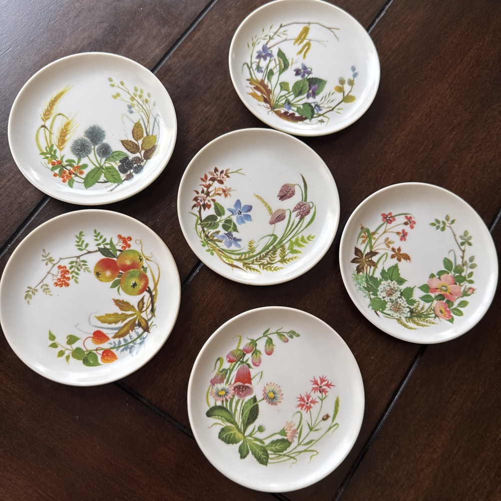 Vintage Praesidium Melamine Floral Coasters Set/6 Vintage Hosting