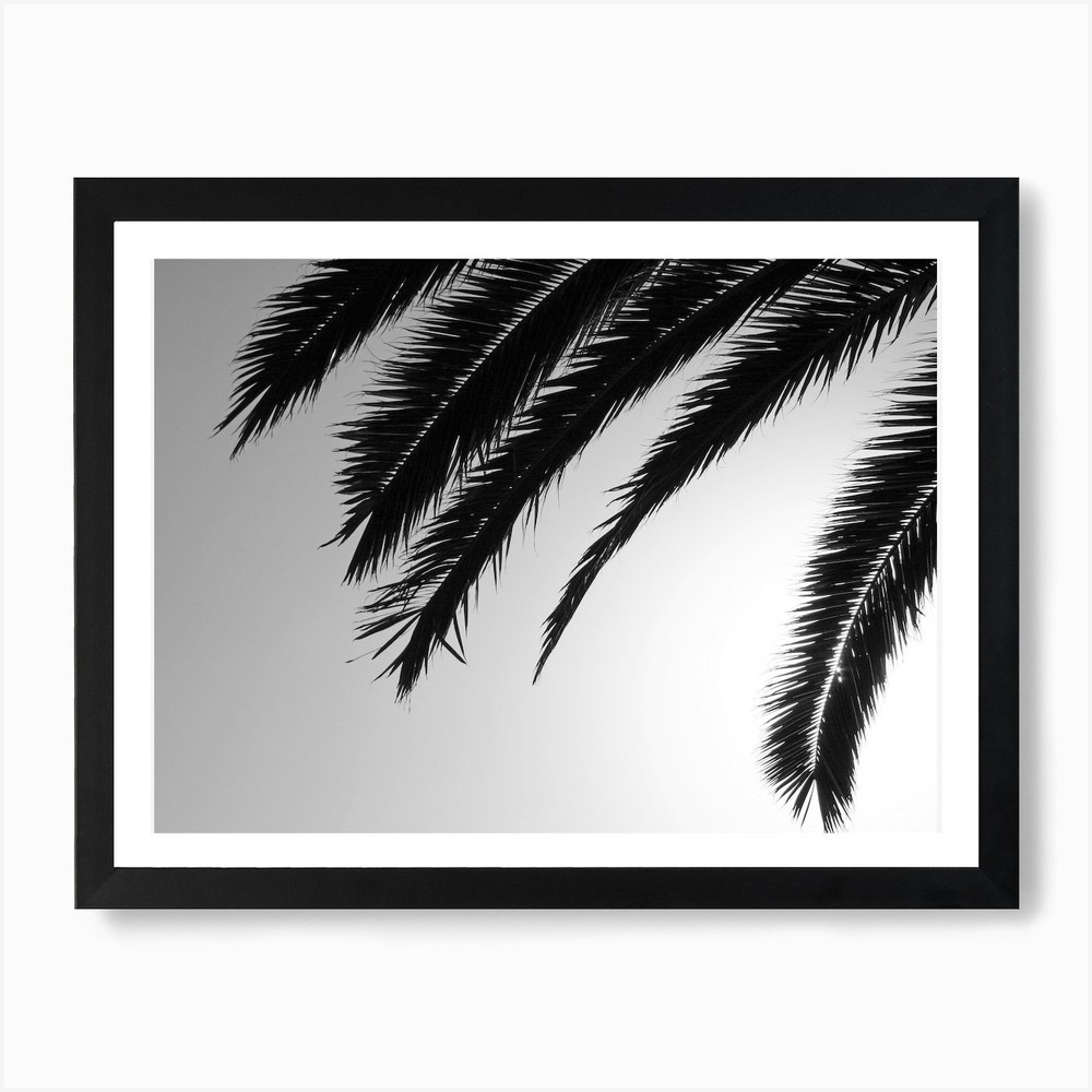Palm Tree Framed Wall Art Canvas Print Tropical Decor
