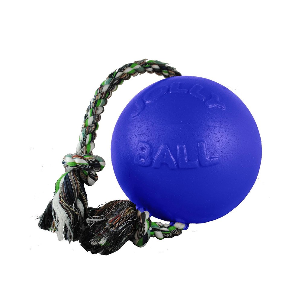 Romp-N-Roll Ball Color: Blue, Size: 14