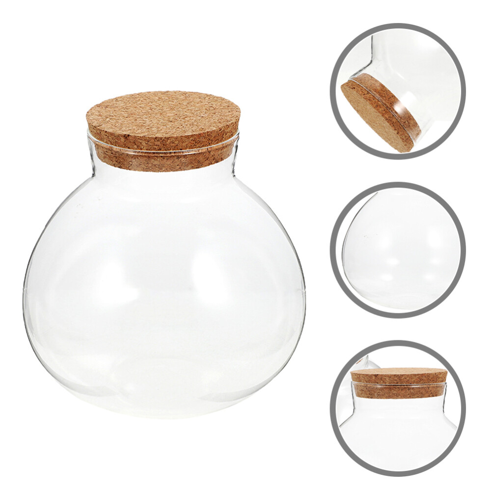Eco-Friendly Cork-Sealed Glass Globe Flower Vase