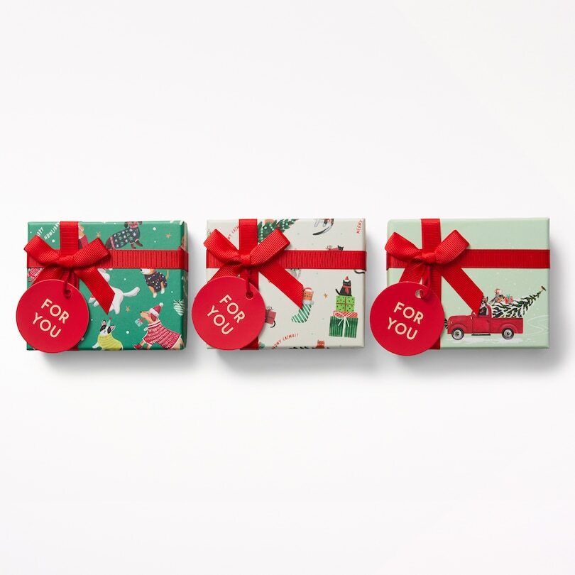 NOTA Gift Card Holder Bow Box, Festive Animals, Set of 3-image