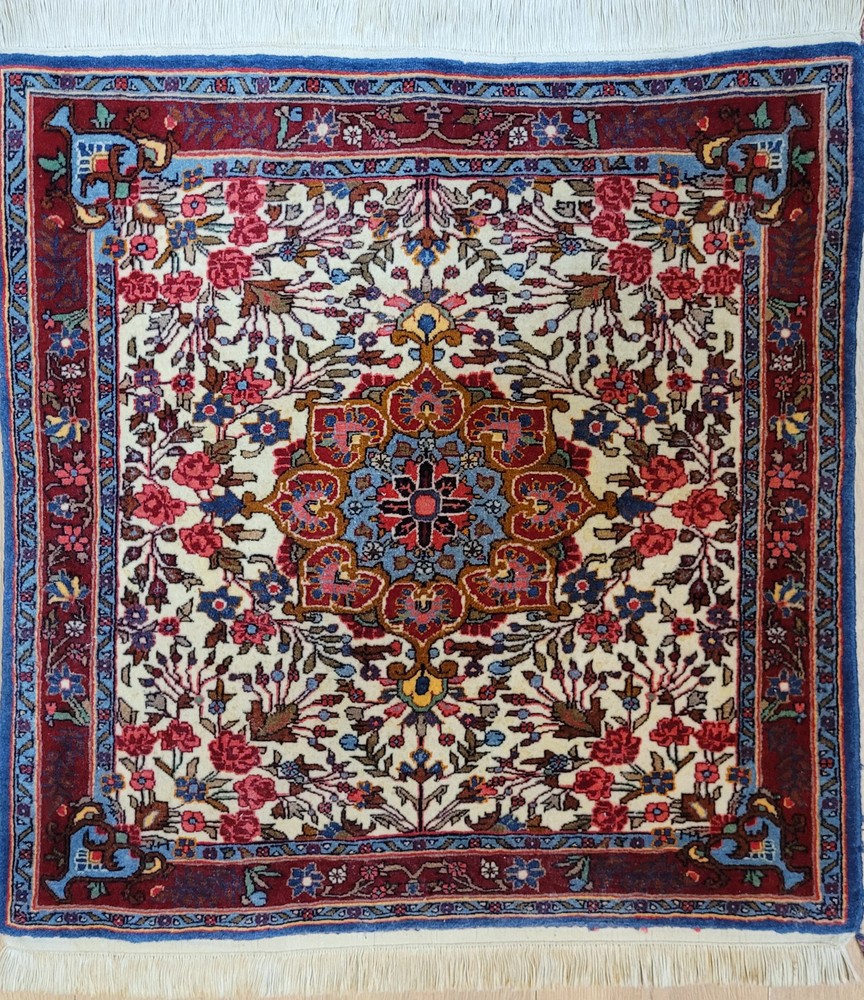 Djosan Sarough Rug Cork Wool Floral Medallion 205x138cm