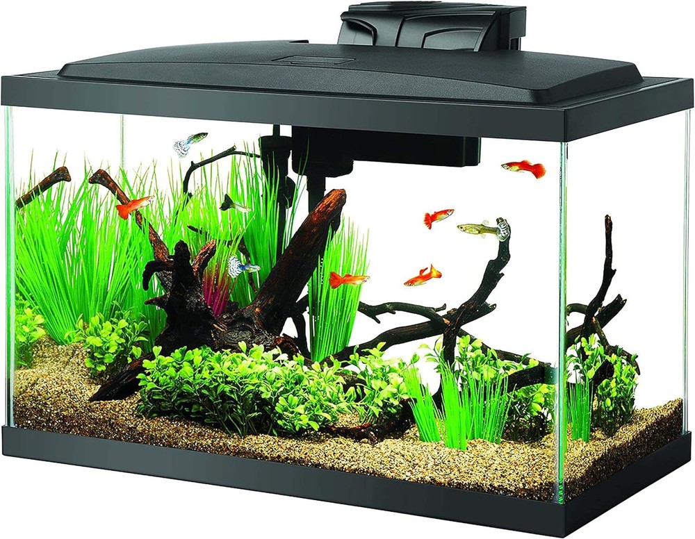 10 Gallon Aquarium Starter Kit with LED Lighting for Fish Tanks