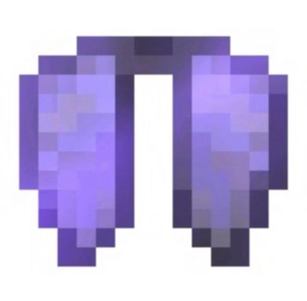 DonutSMP | 1x Elytra | Cheap and Fast Delivery | 100% Safe | READ DESCRIPTION