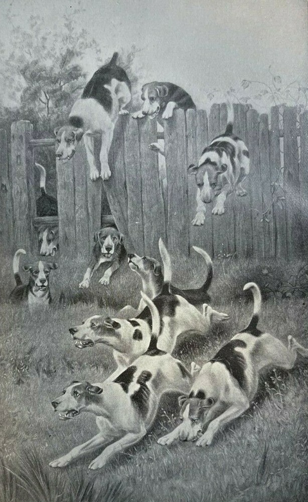 1894 Fox Hunting Riding to the Hounds illustrated