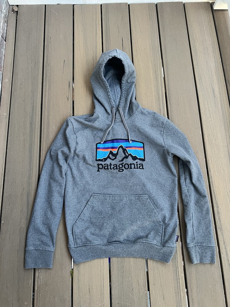 Patagonia Men's Small Logo Pullover Hoodie in Size S