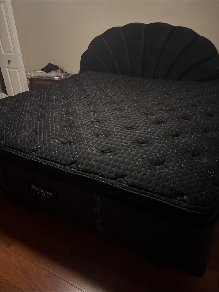 Beauty rest Black Series 4 Plush Pillow Fop