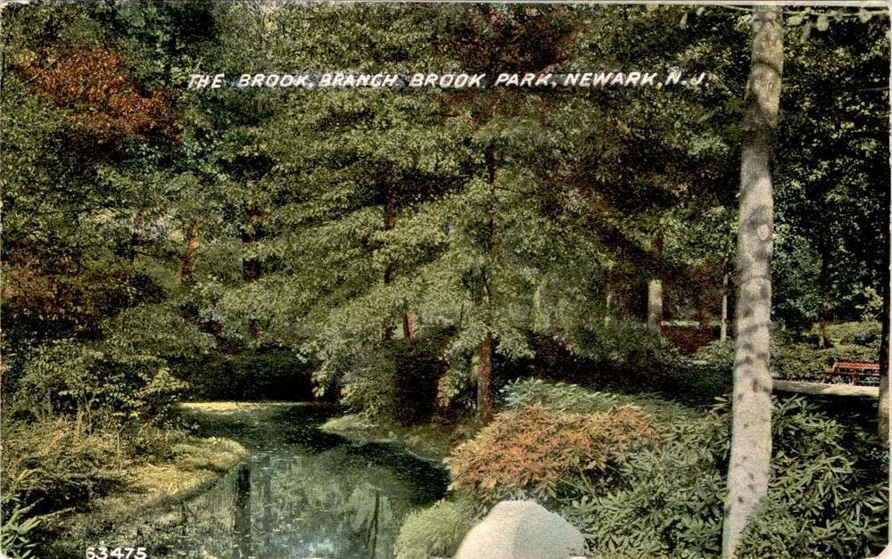 THE BROOK, BRANCH BROOK PARK, NEWARK, N.J Postcard
