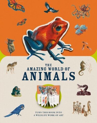 Moira Butterfield Paperscapes: The Amazing World of Animals (Hardback)