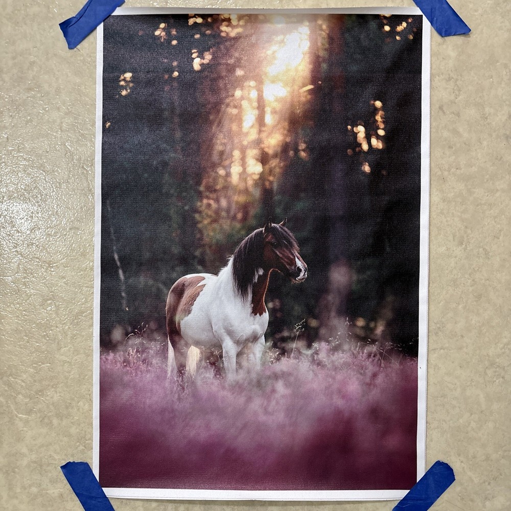 Wild Horse - Decor ✅ Animal Canvas Poster Print Wall Art ✅ 12x18 inch - Unframed