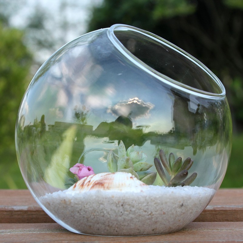 Clear Glass Christmas Bauble Terrarium for Succulents 8/10/12cm