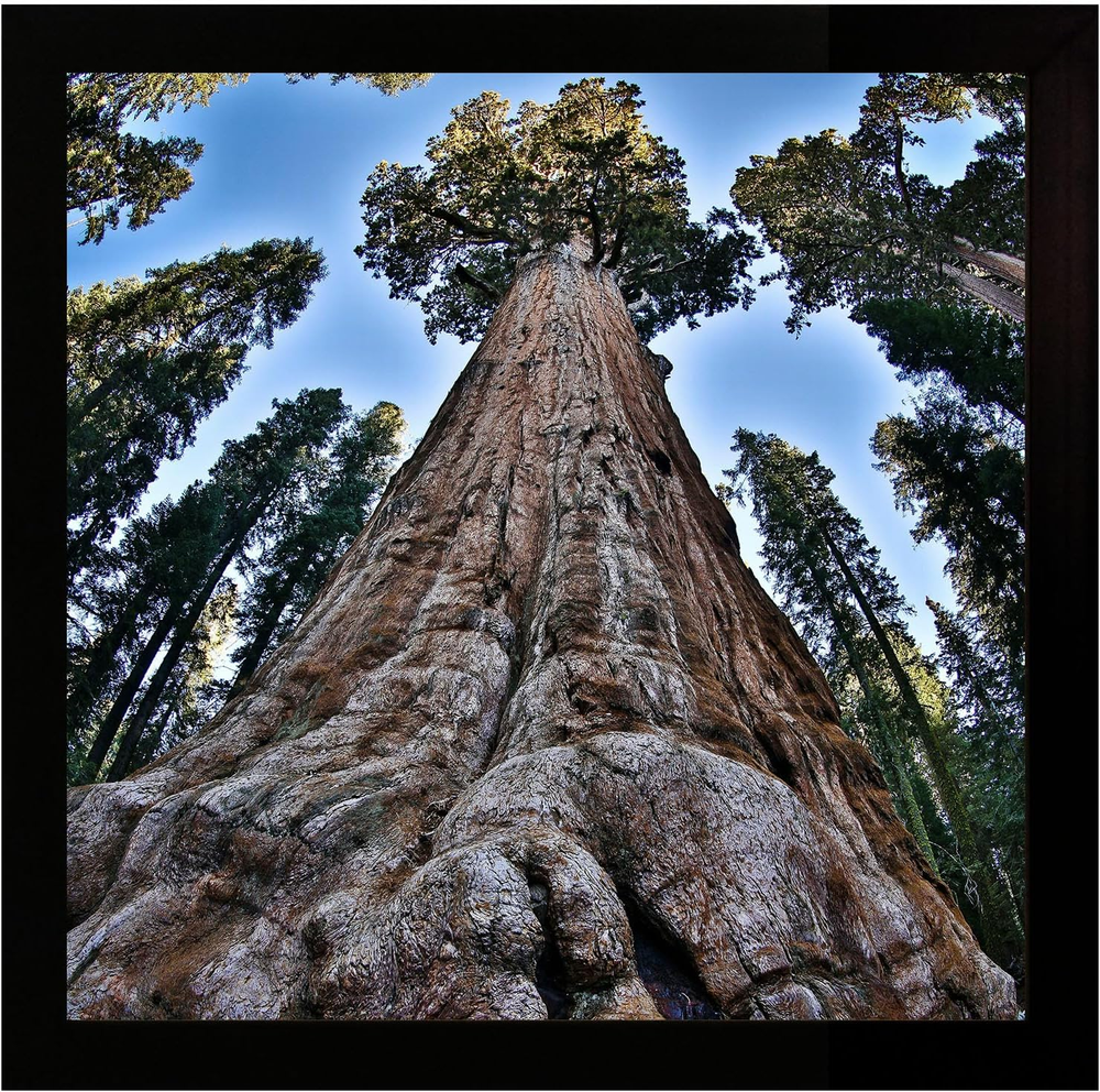 6X6 Picture Frame Black Square Photo Frames Display for Wall and Tabletop