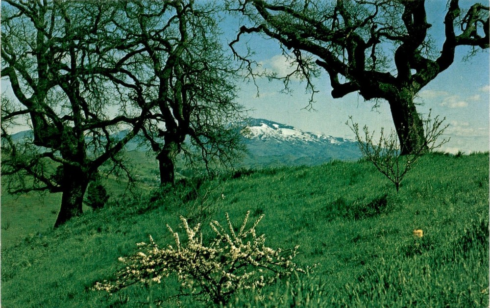 Mt. Diablo, Contra Costa County, California, Jack W. Coburn, Martinez, Postcard