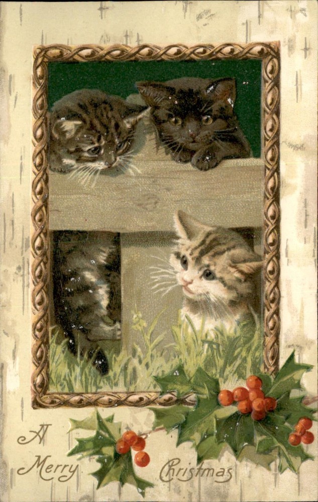 Christmas Adorable Kitten Cat Embossed WINSCH c1900-20s Vintage Postcard
