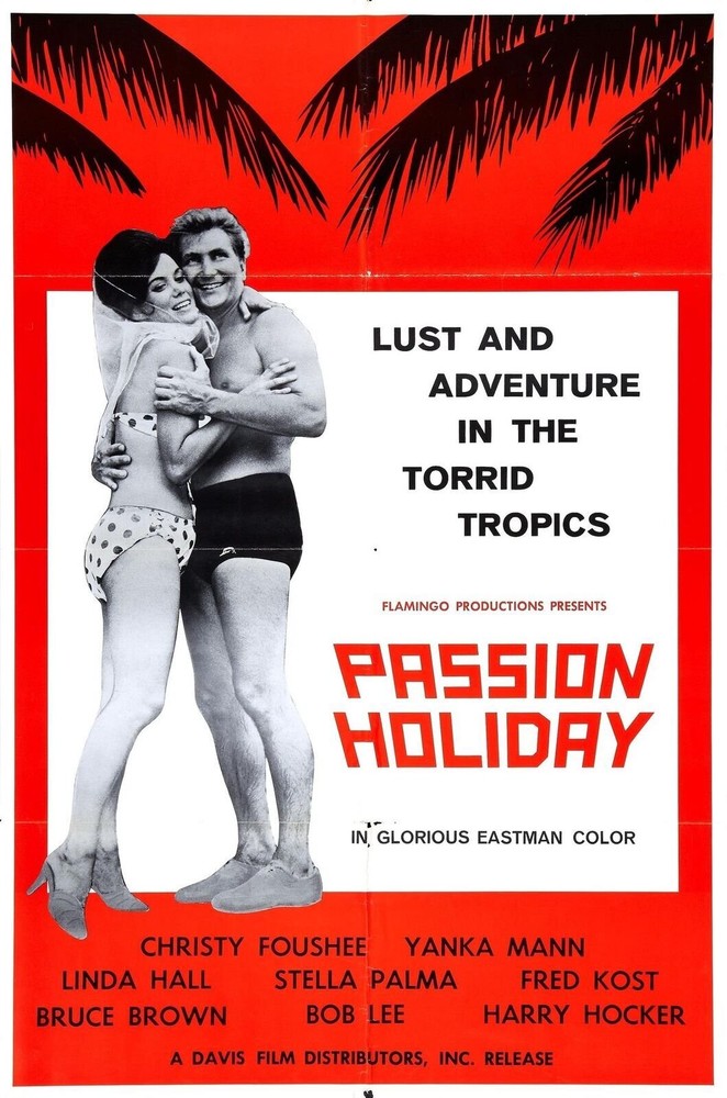 Passion Holiday 01 Movie Wall Art Poster Print Custom Sizes Available