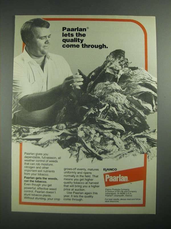 1987 Elanco Paarlan Ad - Lets The Quality Come Through