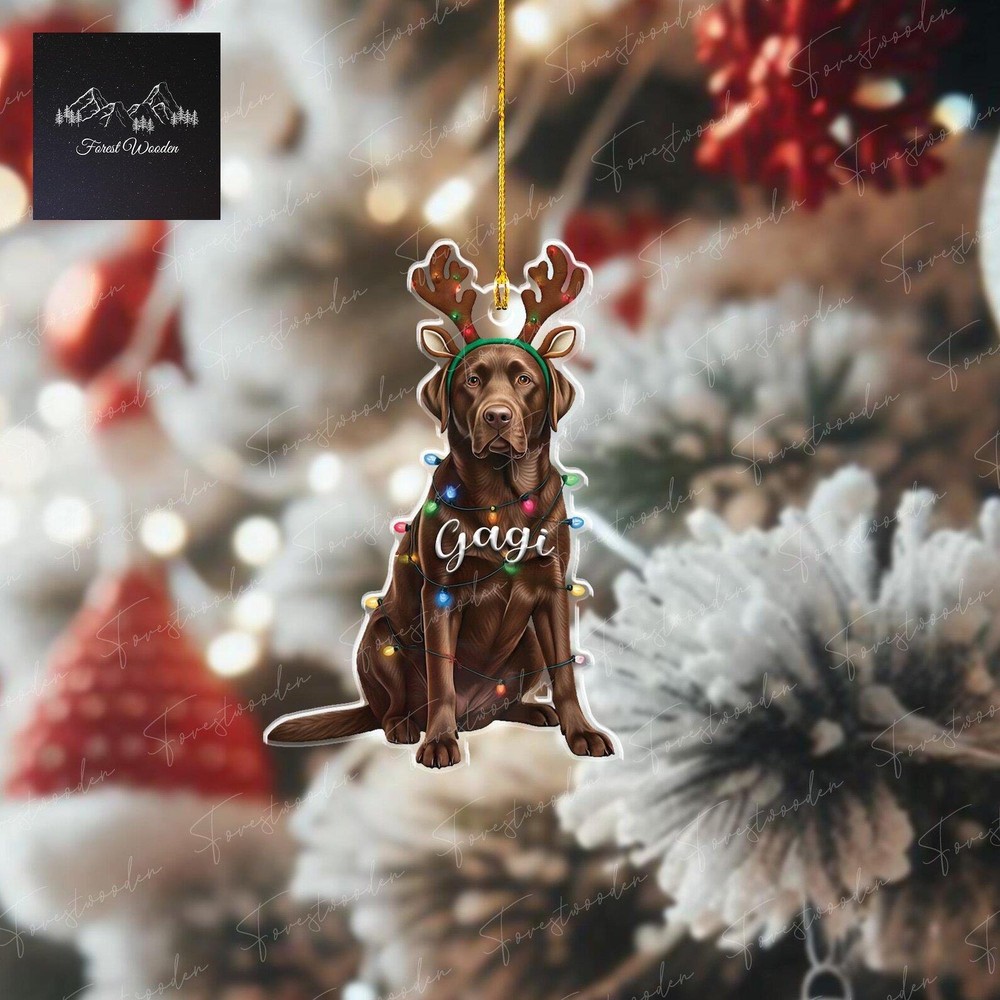 Personalized Chocolate Labrador Dog Ornament Dog Hanging Ornament 2d Flat