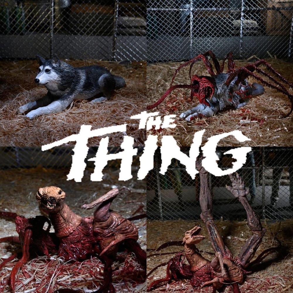 NECA 7