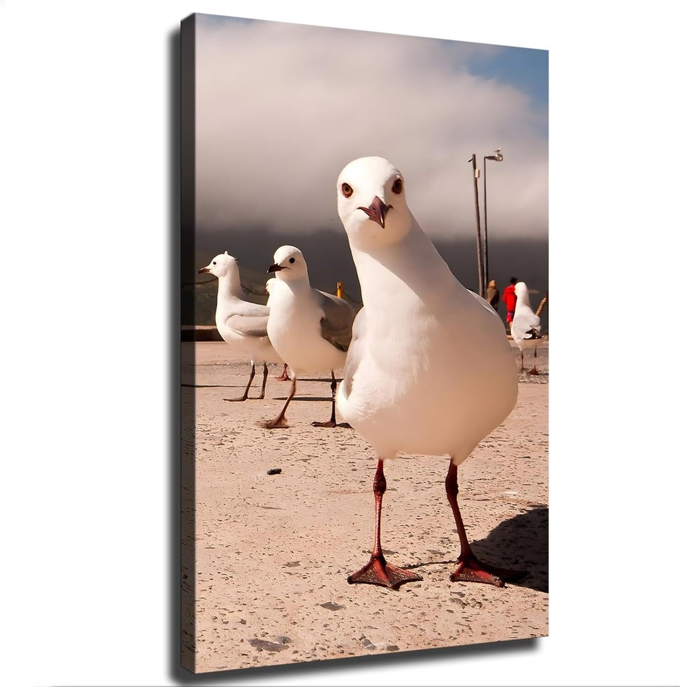 Sea Gulls Wild Birds Funny Animals Poster Canvas Picture Printing Wall Art