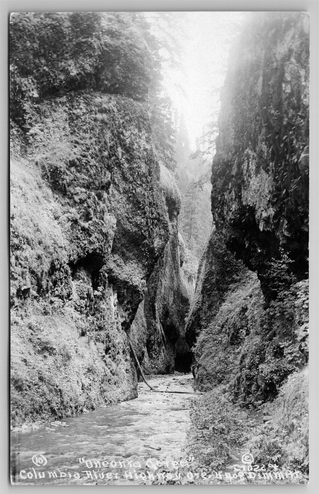 Vintage 1924 Oneonta Gorge RPPC Postcard Columbia River Highway #2 Oregon J19