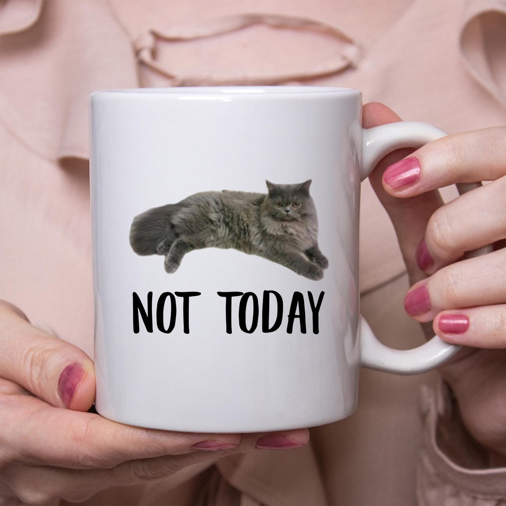 Funny Persian Cat Blue Not Today Cat Mug Lazy Gift For Cats Lovers Coffee Mug
