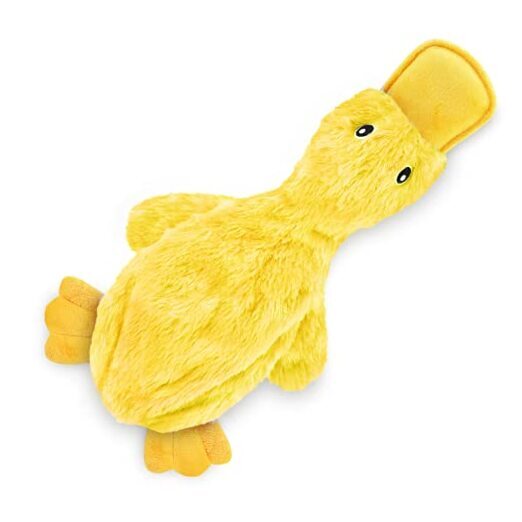 Crinkle Dog Toy for Small, Medium, and Breeds, Cute No Stuffing Large 1 Yellow