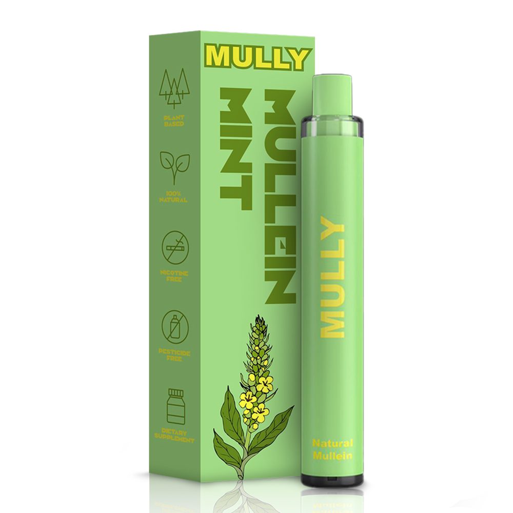 Mullein Diffuser Pen for Fresh Mint Breath – Smoking Alternative & Habit Replacement  