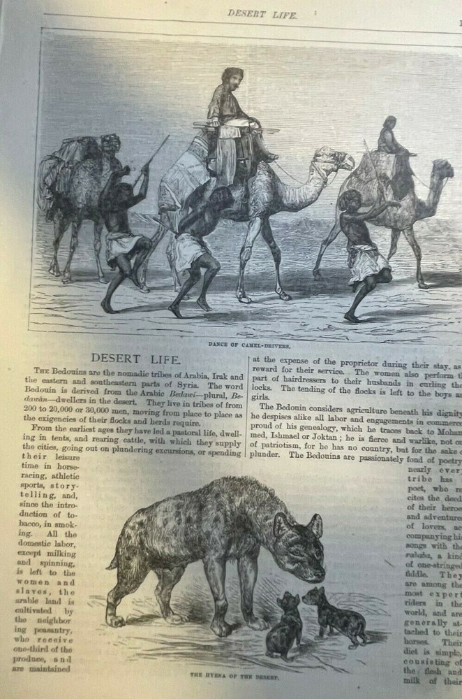 1879 Nomadic Life in Sahara Desert Syria  illustrated