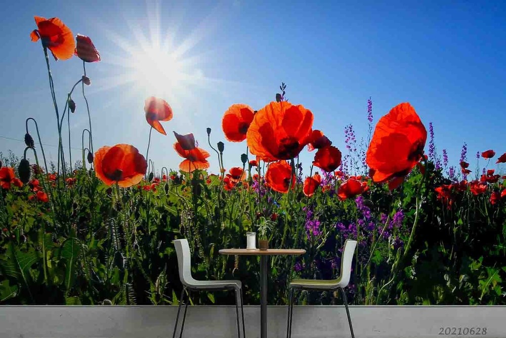 3D Poppies Field Sunlight Landscape Wall Murals Wallpaper Murals Wall Sticker