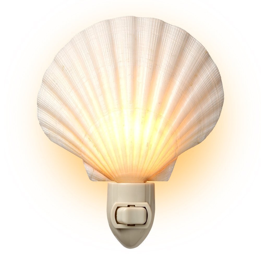Real Sea Shell Beach Night Light Real, Natural, Perfect for Beach Home Decor