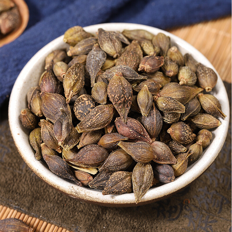 Discover Lianqiao Forsythia, the potent Chinese herbal remedy