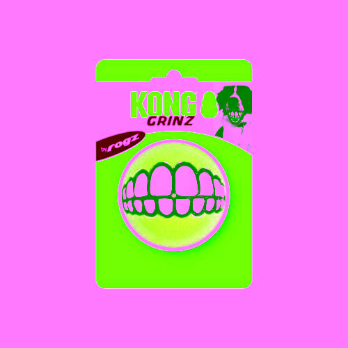 Grinz Treat Ball Dog Toy Assorted 1 Count / Large (3 In