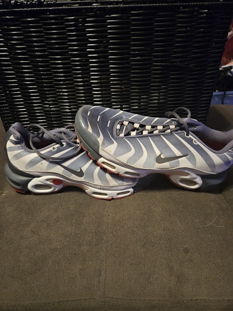 Size 10 - Nike Air Max Plus Before the Bite