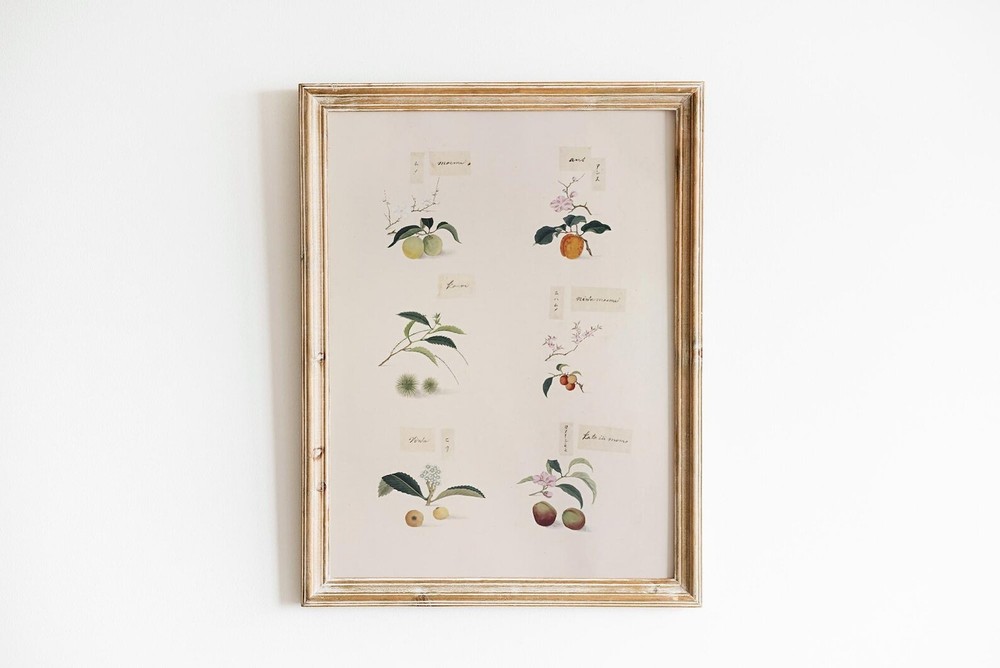 Botanical Cottagecore Wall Art Print For Aesthetic And Preppy Rooms