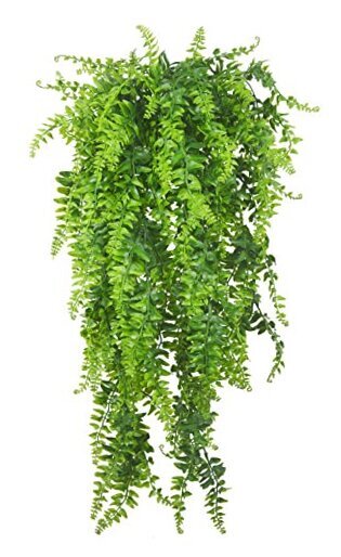 Artificial Silk Fern Rattan Hanging Vines for Indoor Decoration